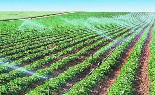 亚洲大屄农田高 效节水灌溉